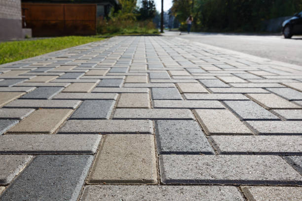 Best Local Driveway Pavers  in Manson, IA